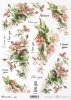 dzika róża, róże, lato, łąka, ogród, polne kwiaty, bukiet, R862, wild rose, summer, meadow, garden, field flowers, bouquet, Wildrose, Rosen, Sommer, Wiese, Garten, Feldblumen, Strauß, rosa silvestre, rosas, verano, prado, jardín, flores de campo, ramo